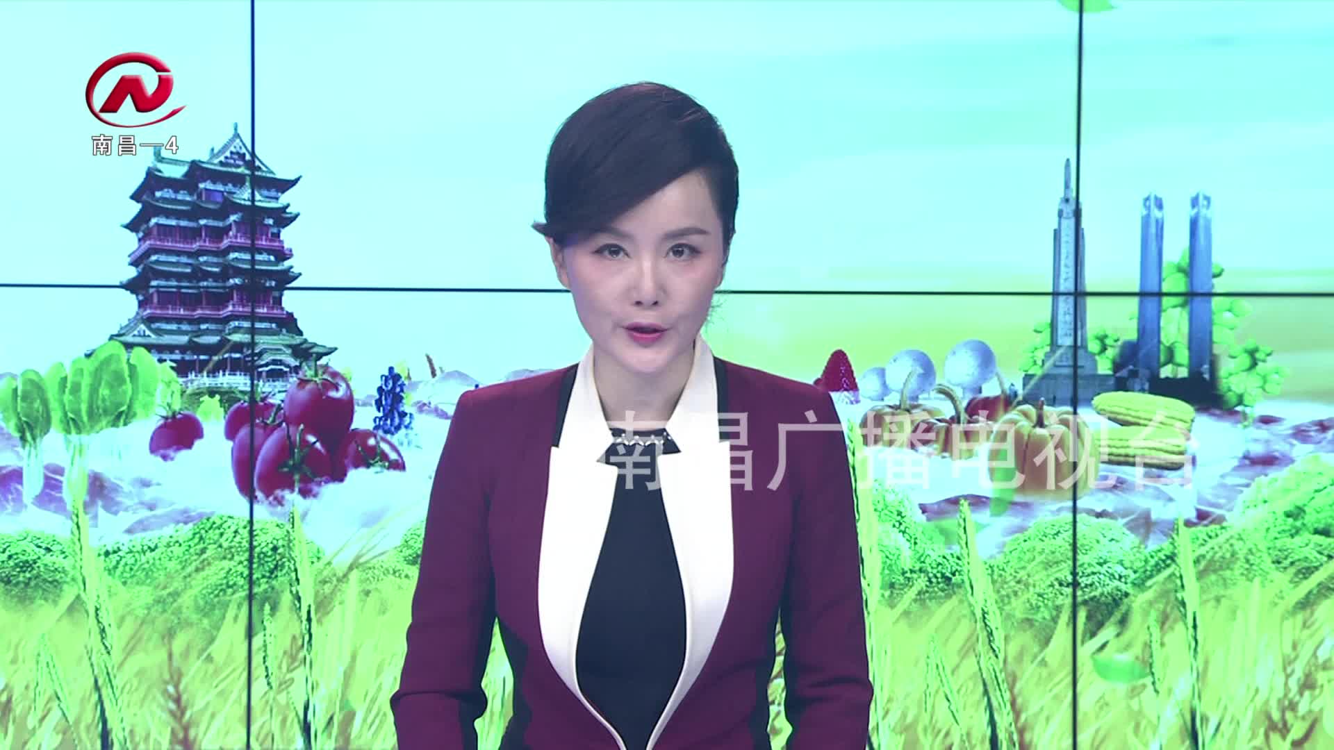 【豫章农视】 南昌县增值放流640万尾鱼苗