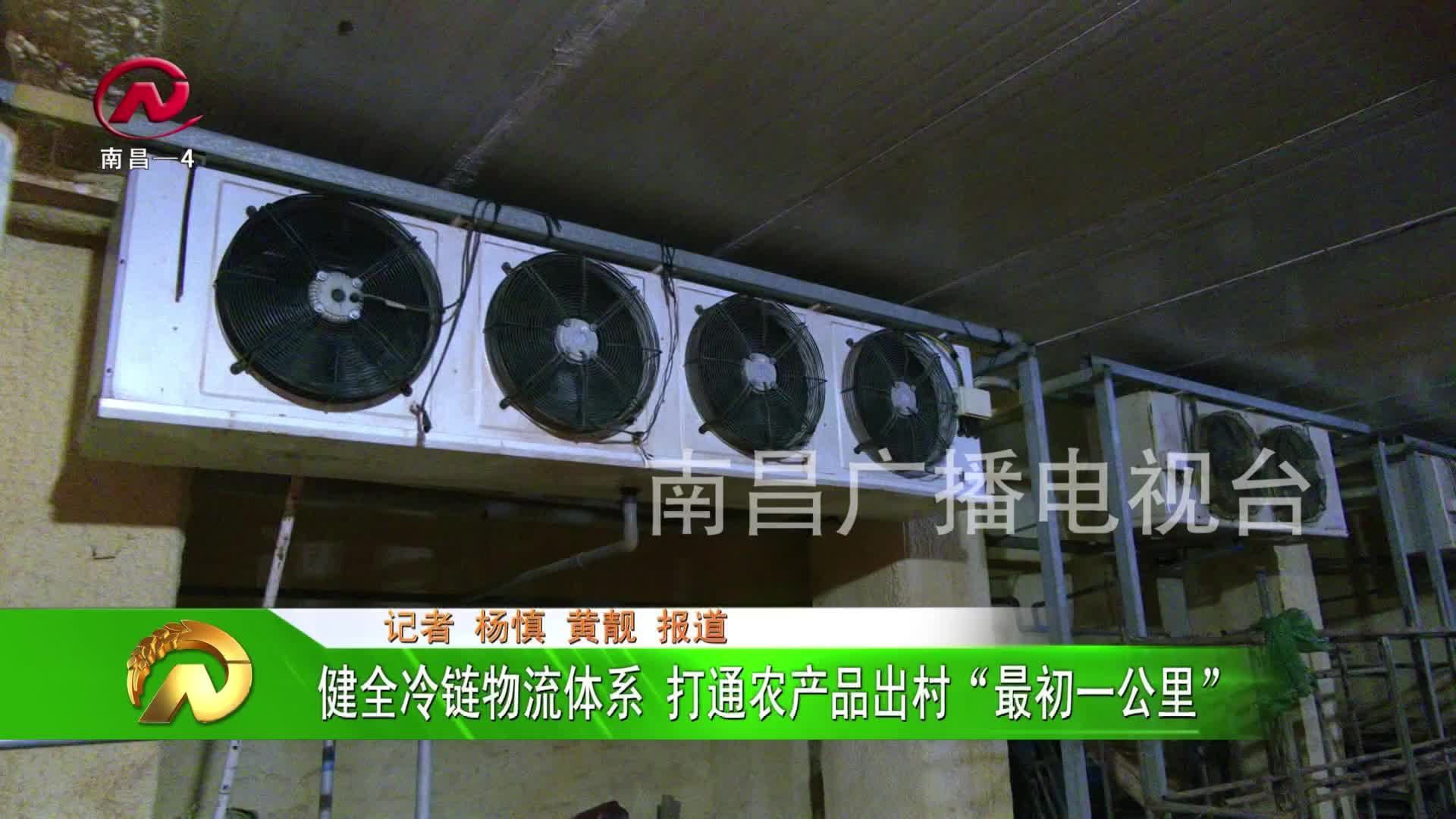 【豫章农视】健全冷链物流体系 打通农产品出村“最初一公里”