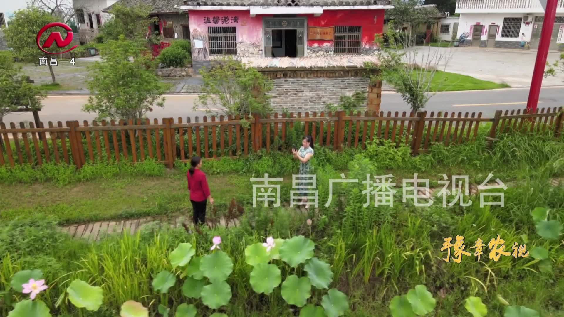 【豫章农视】扮靓“五美”乡村 助推乡村振兴