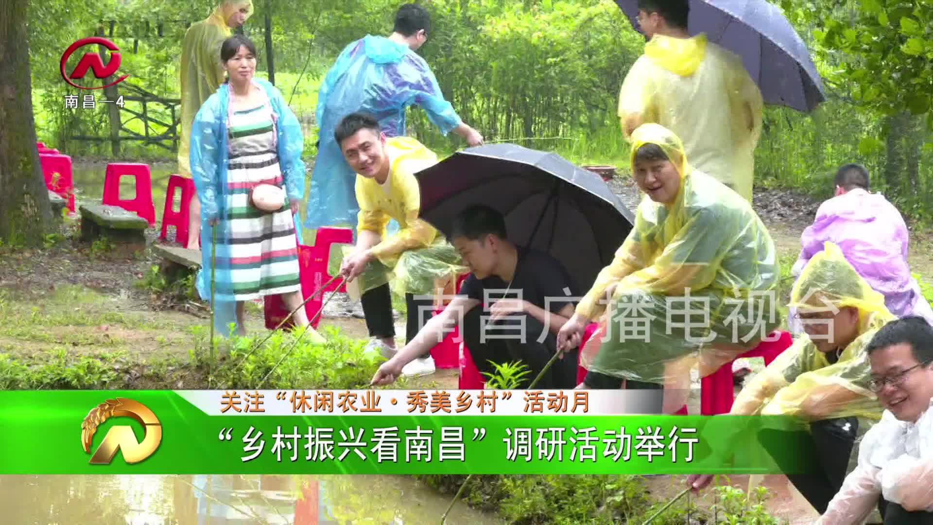 【豫章农视】“乡村振兴看南昌”调研活动举行