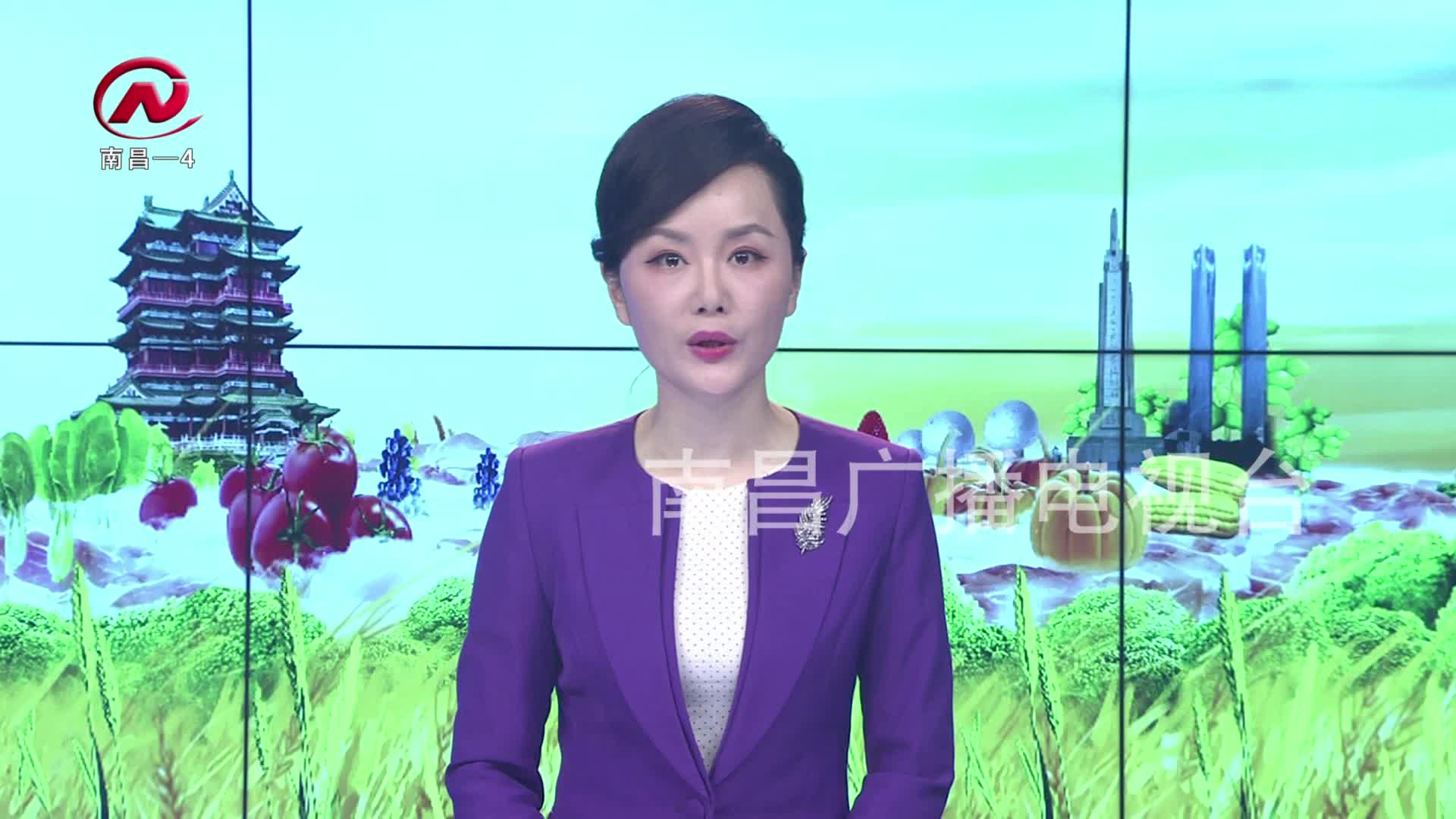 【豫章农视】新建区：招聘会开到家门口 就业创业有保障