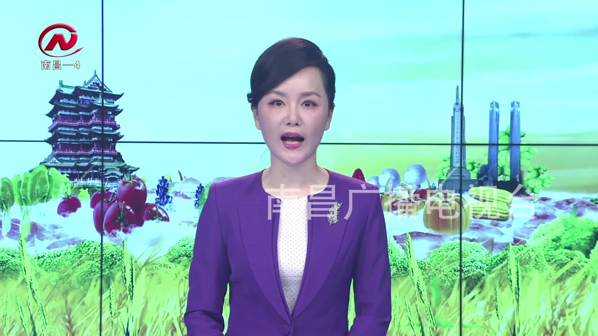 【豫章农视】花海飘香 夏日赏花正当时