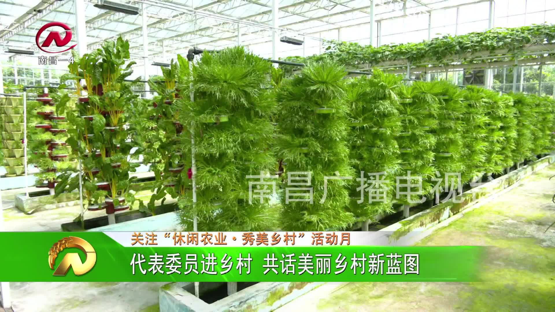 【豫章农视】代表委员进乡村 共话美丽乡村新蓝图