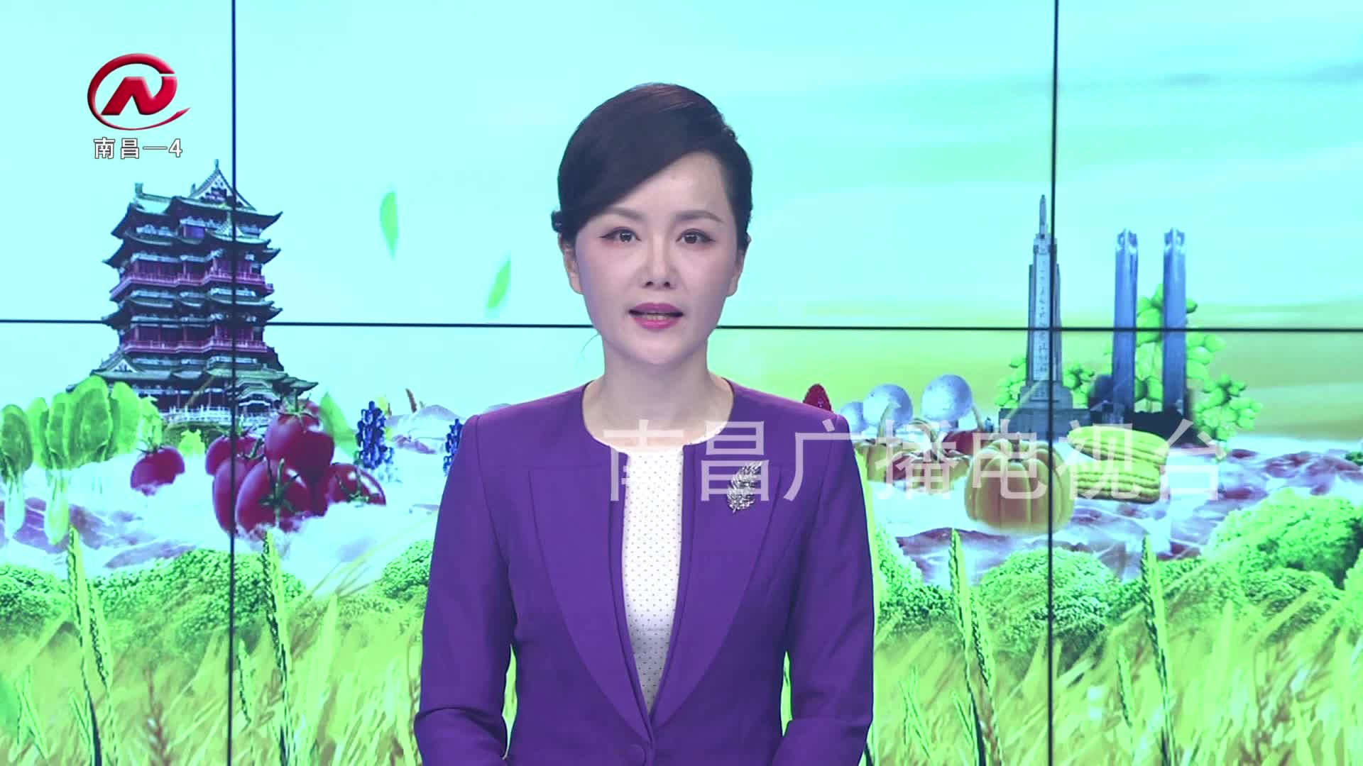 【豫章农视】省乡村振兴局到我市调研城市大脑“扶贫不落一人”应用场景