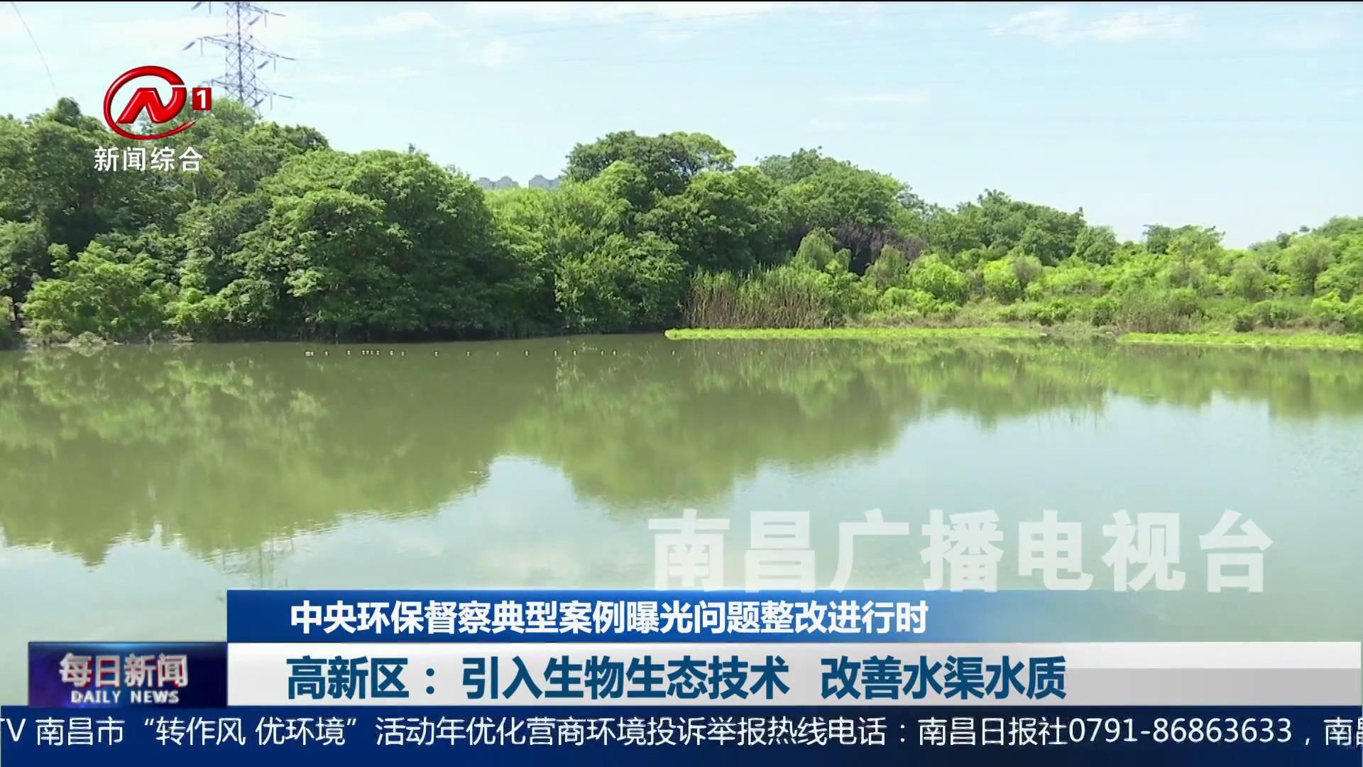 高新区： 引入生物生态技术 改善水渠水质