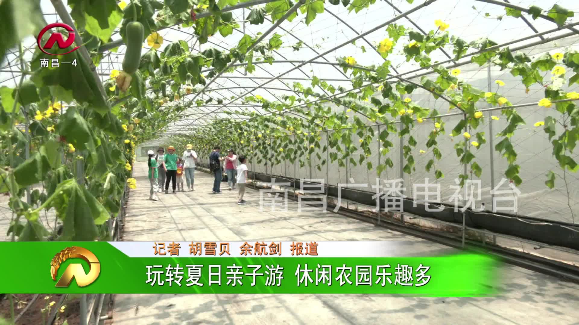 【豫章农视】玩转夏日亲子游 休闲农园乐趣多