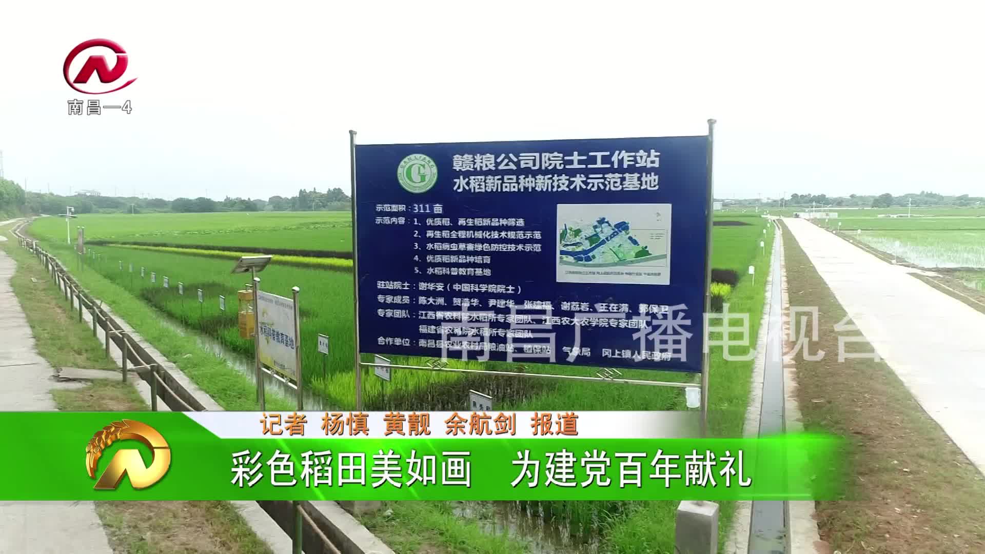 【豫章农视】彩色稻田美如画  为建党百年献礼