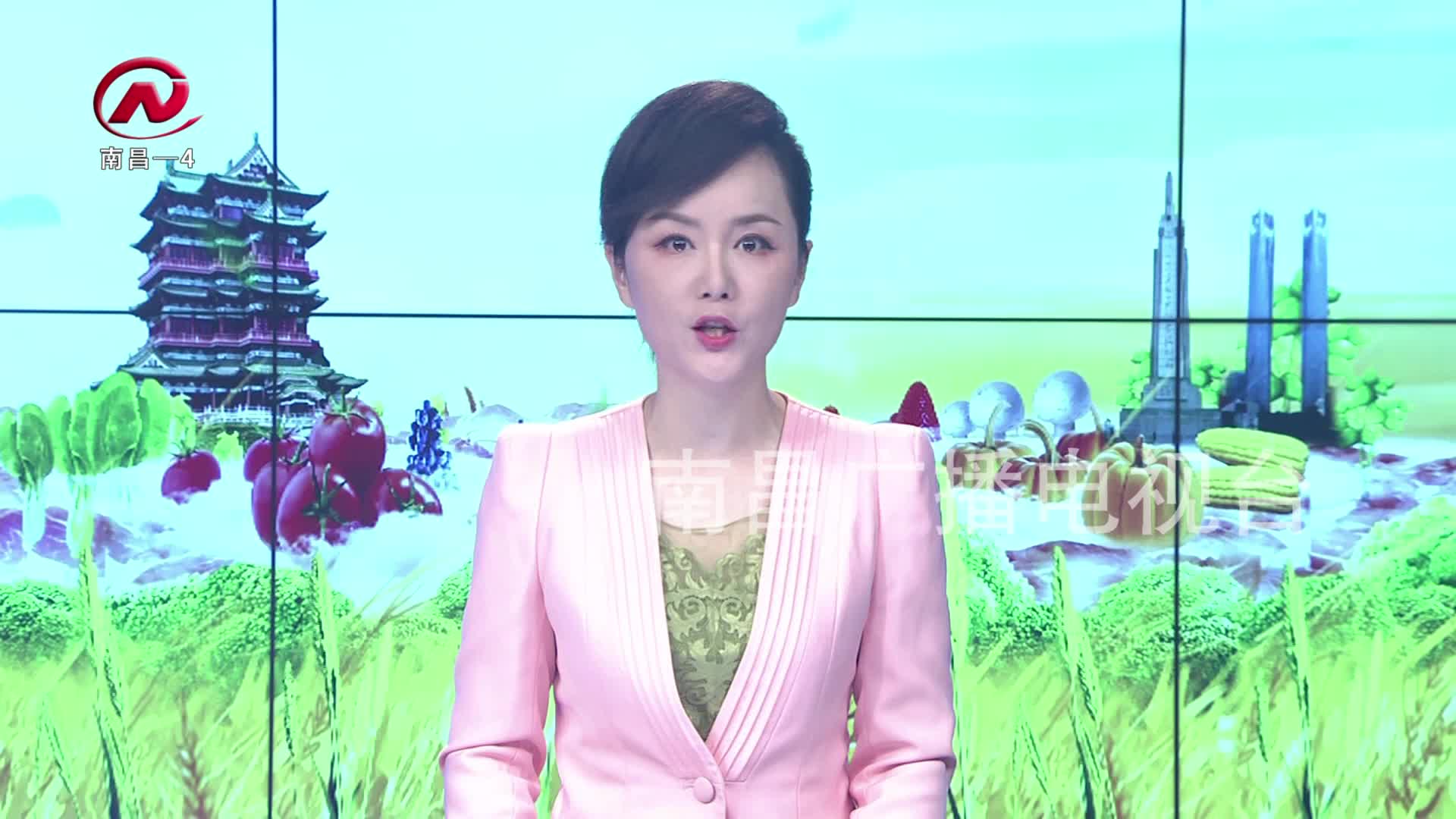 【豫章农视】全省蔬菜重大技术协同推广计划试点工作布置培训会在我市召开