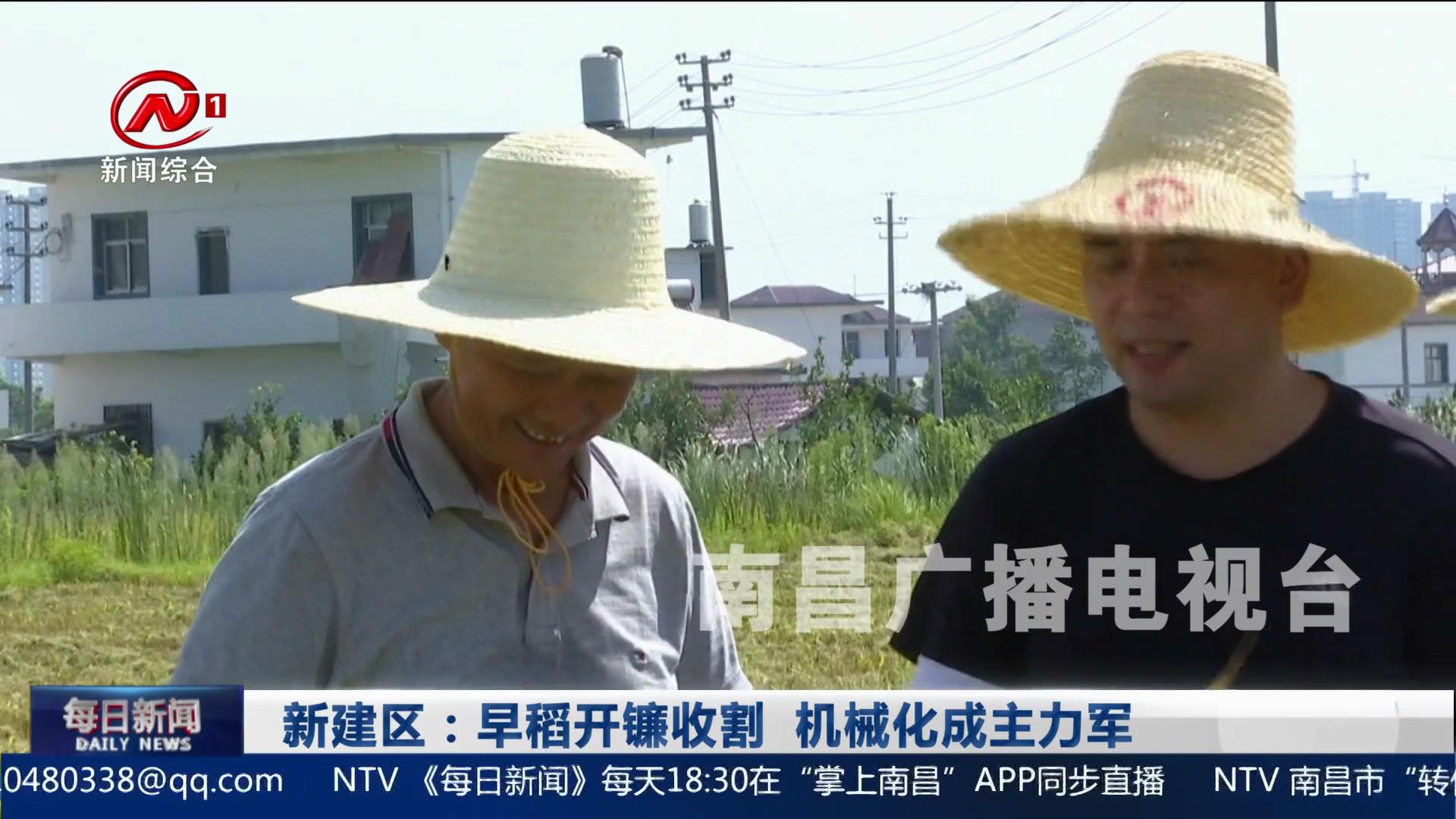 新建区：早稻开镰收割  机械化成主力军