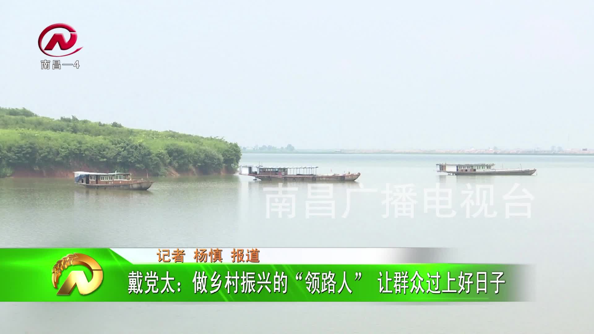 【豫章农视】戴党太：做乡村振兴的“领路人” 让群众过上好日子