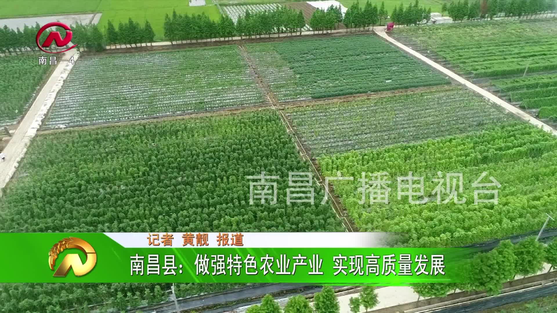 【豫章农视】南昌县：做强特色农业产业 实现高质量发展