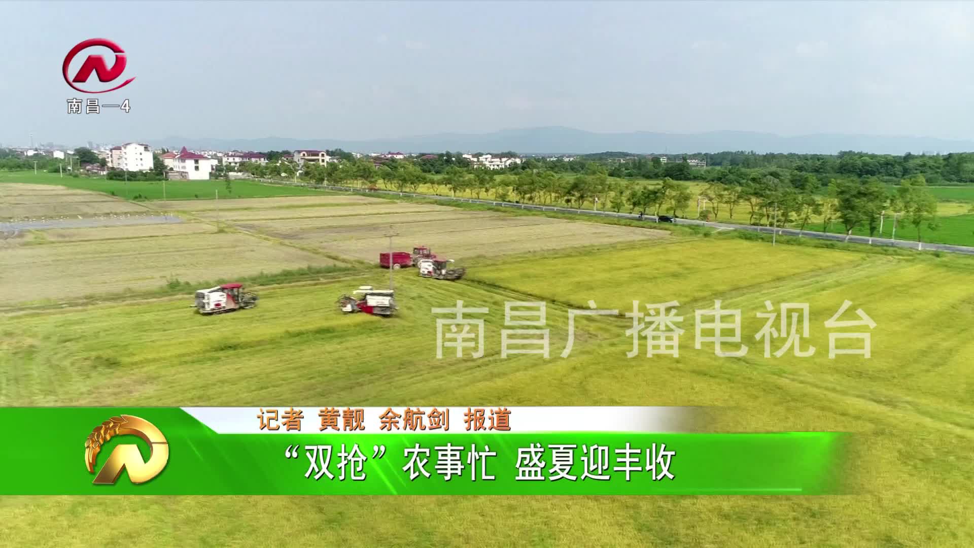 【豫章农视】“双抢”农事忙 盛夏迎丰收