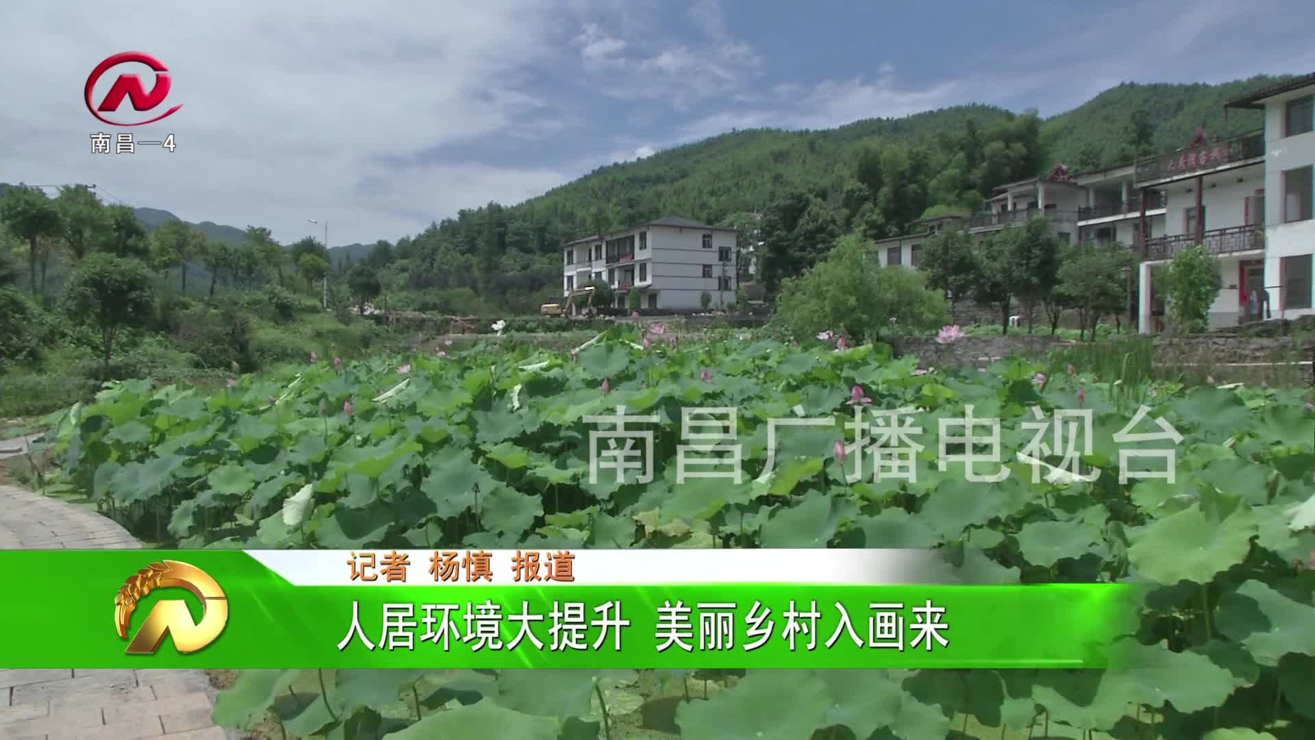 【豫章农视】人居环境大提升 美丽乡村入画来