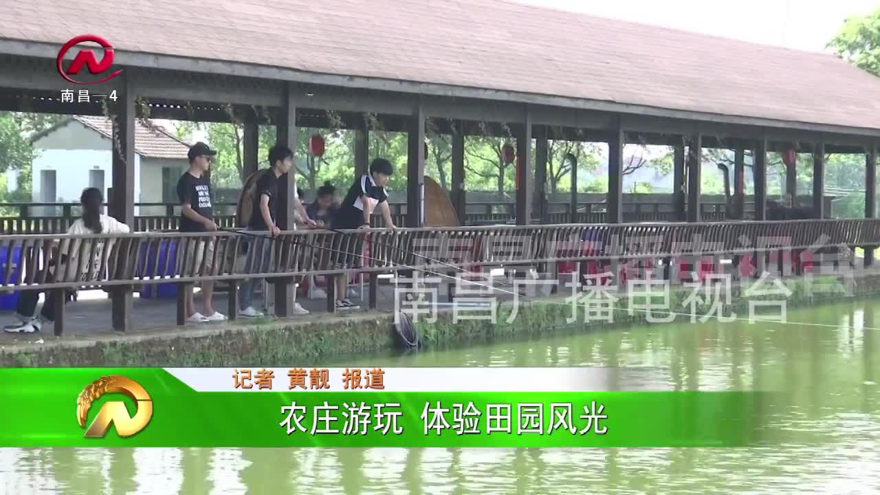 【豫章农视】农庄游玩 体验田园风光