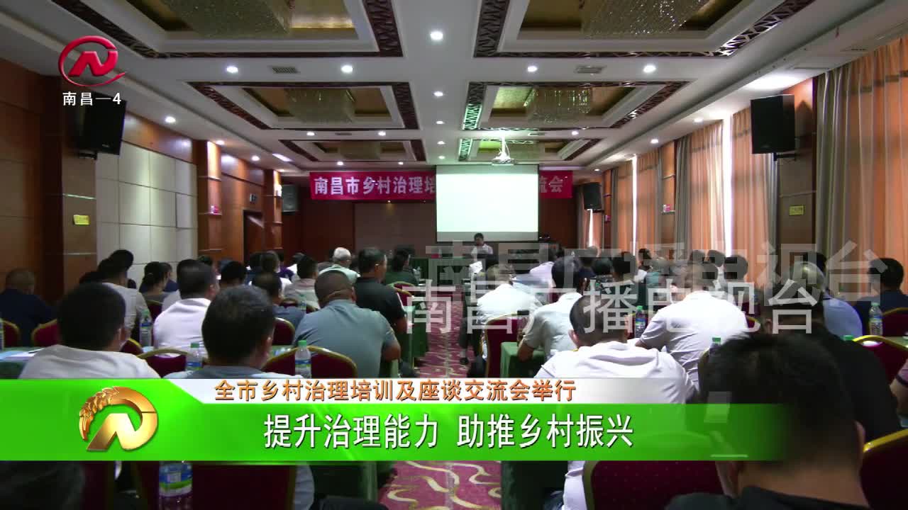 【豫章农视】提升治理能力 助推乡村振兴