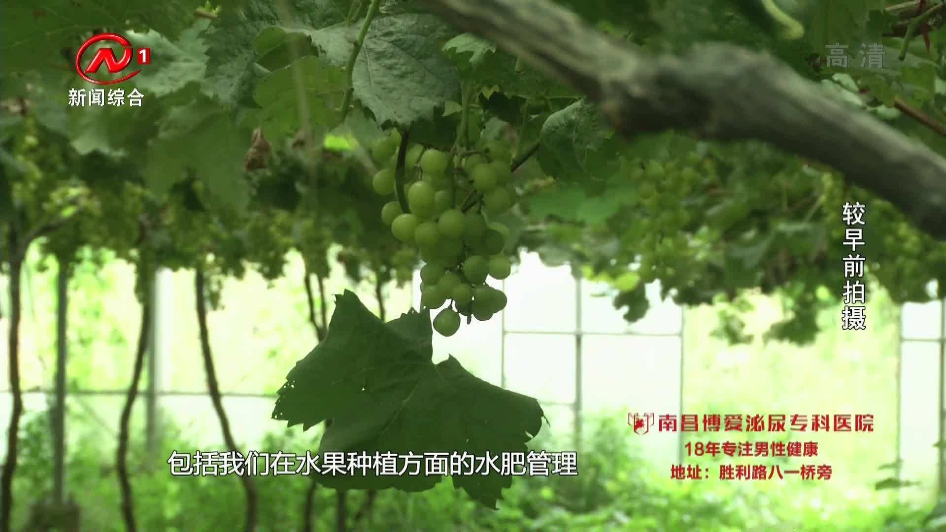 健康有一套 2021-08-03