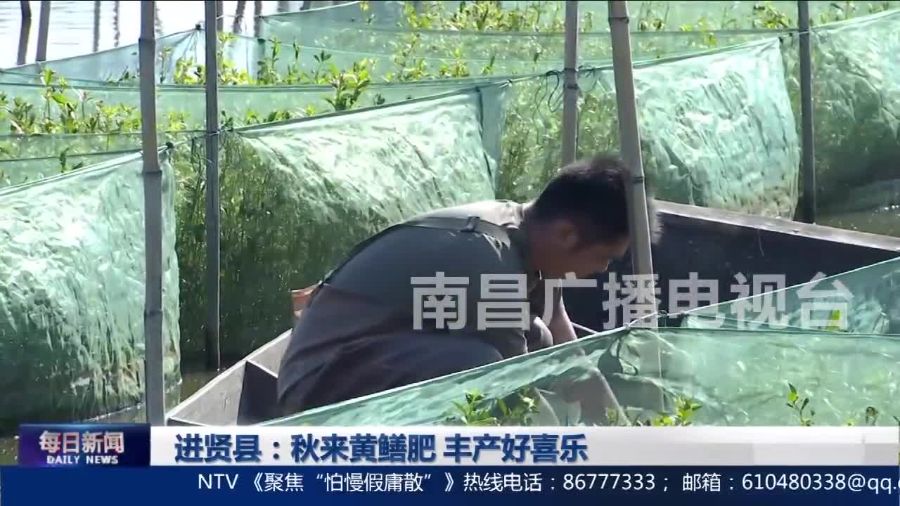 进贤县：秋来黄鳝肥 丰产好喜乐