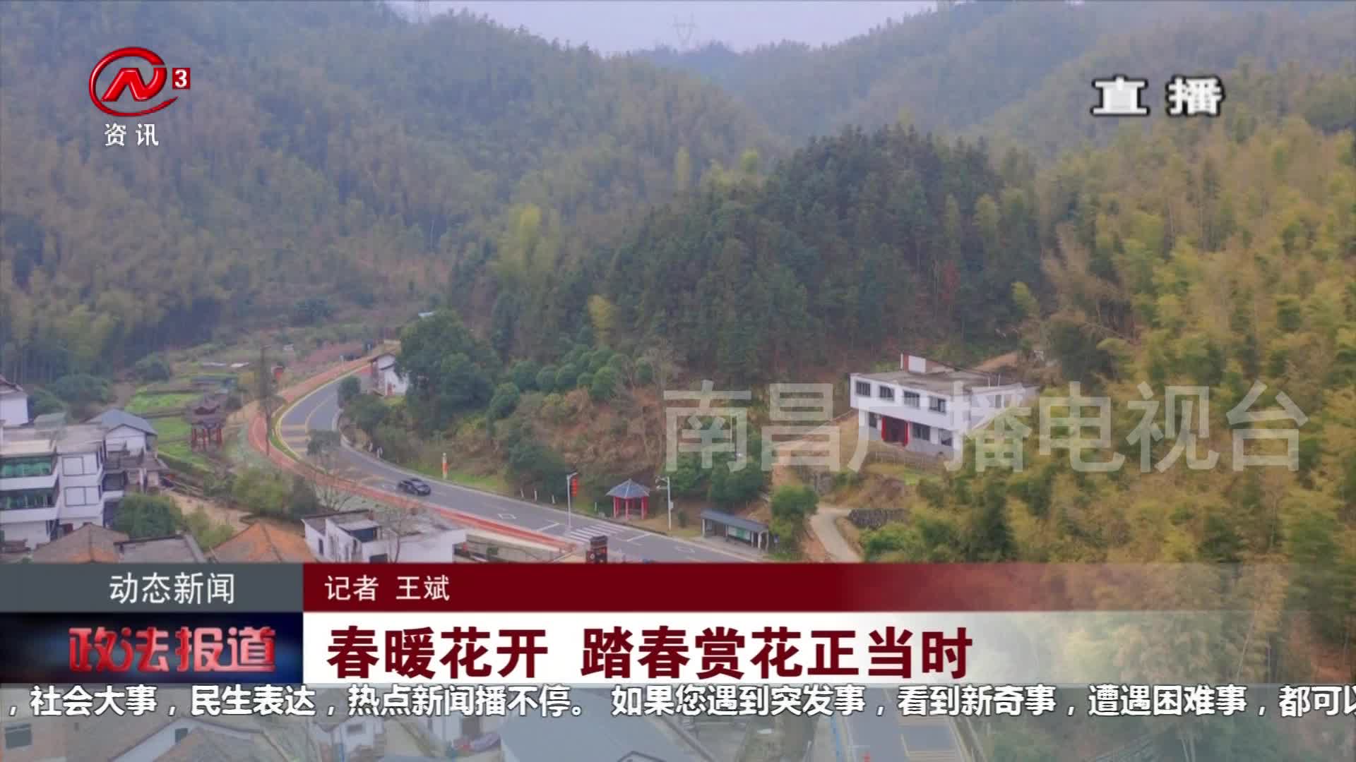 春暖花开 踏春赏花正当时