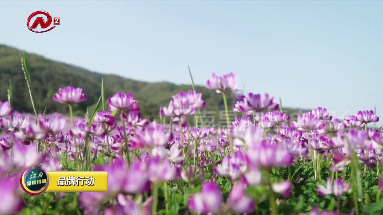 梅岭景区有序开放 踏青赏春莫忘防疫