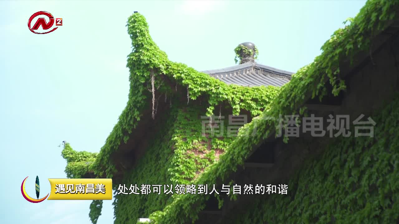 闹市中的“世外桃源”——天香园