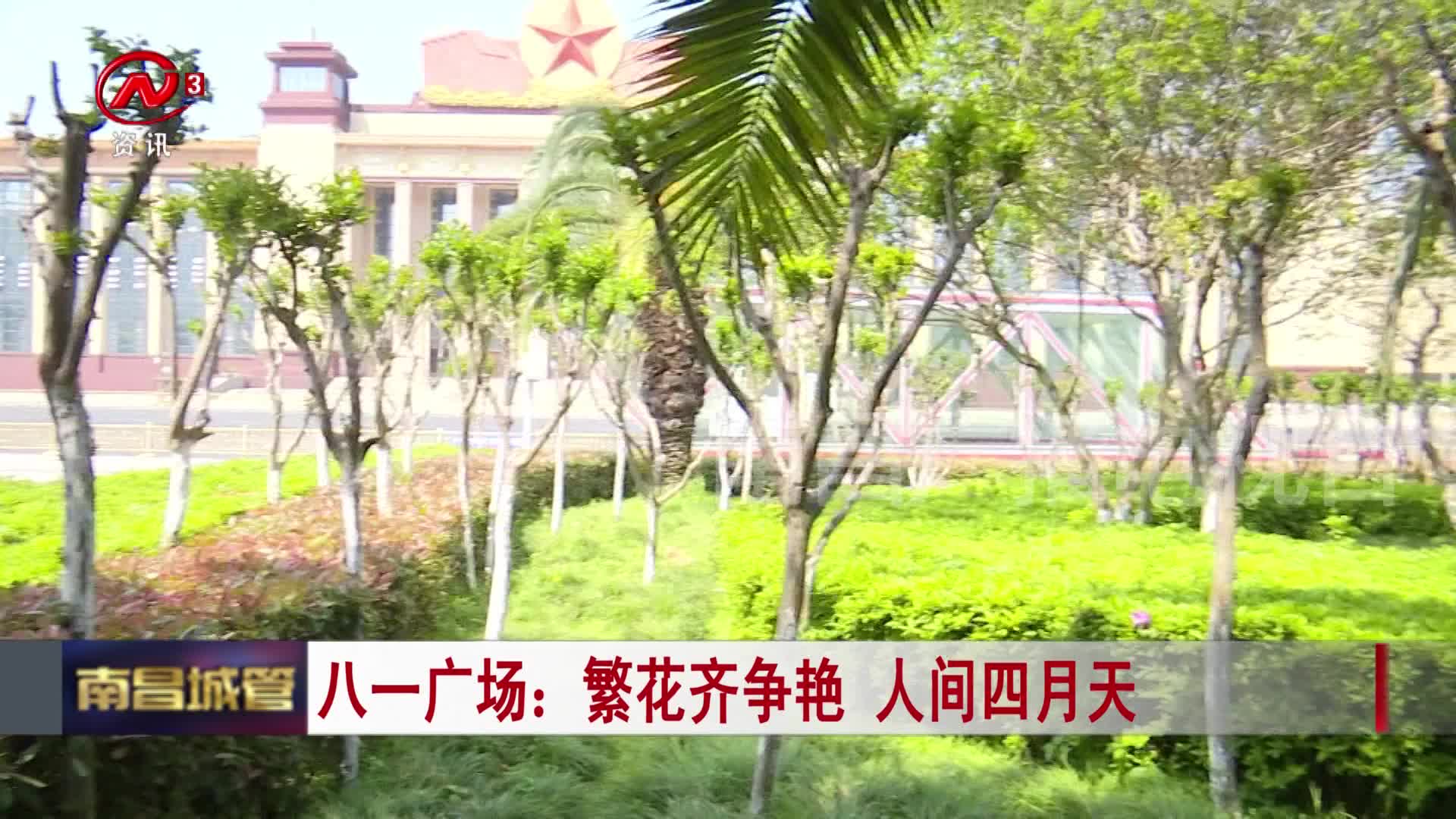 八一广场：繁花齐争艳 人间四月天