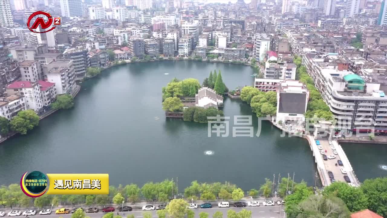 “云赏”杏花楼：碧水环绕春色 园林静述历史