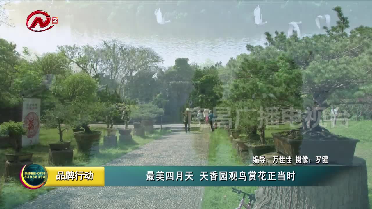 最美四月天 天香园观鸟赏花正当时
