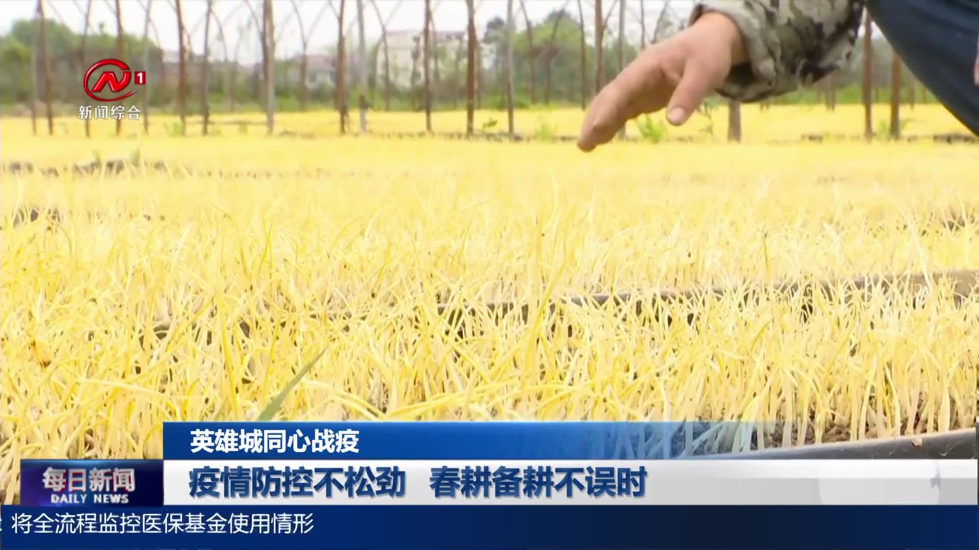 疫情防控不松劲 春耕备耕不误时