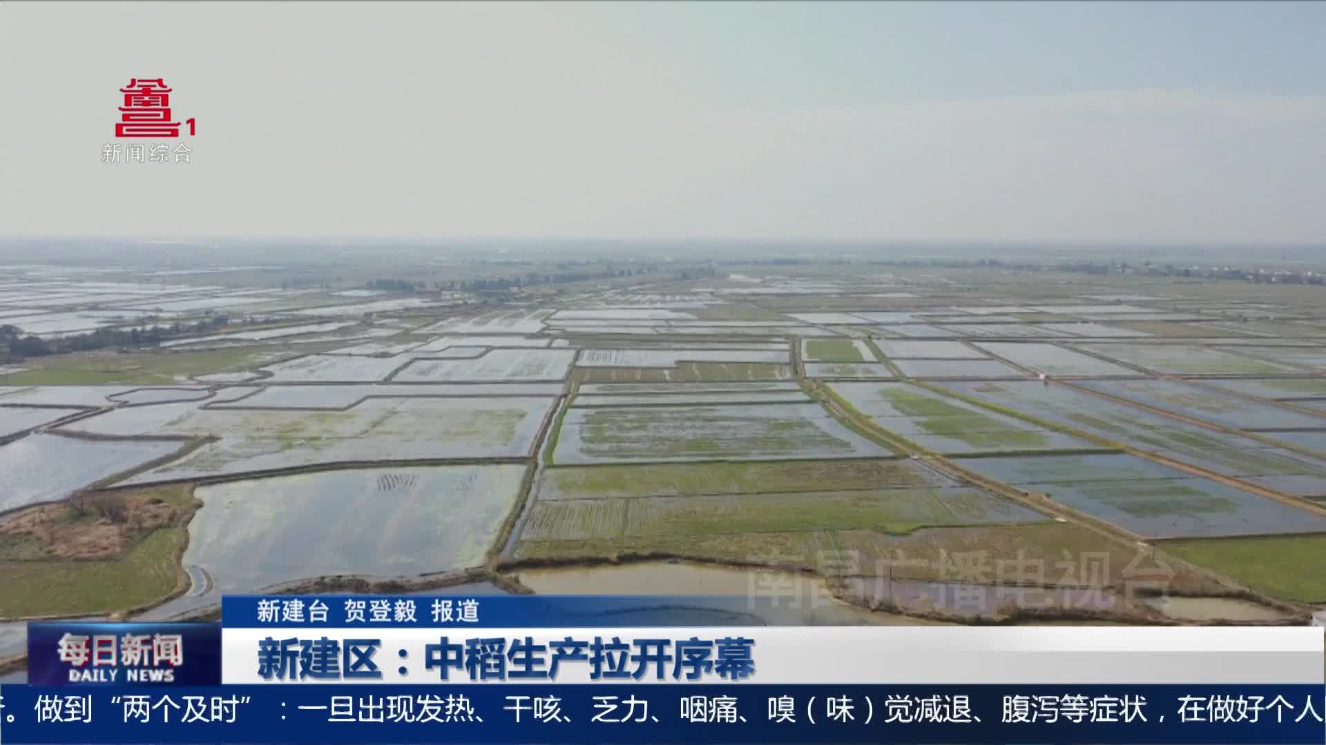 新建区：中稻生产拉开序幕