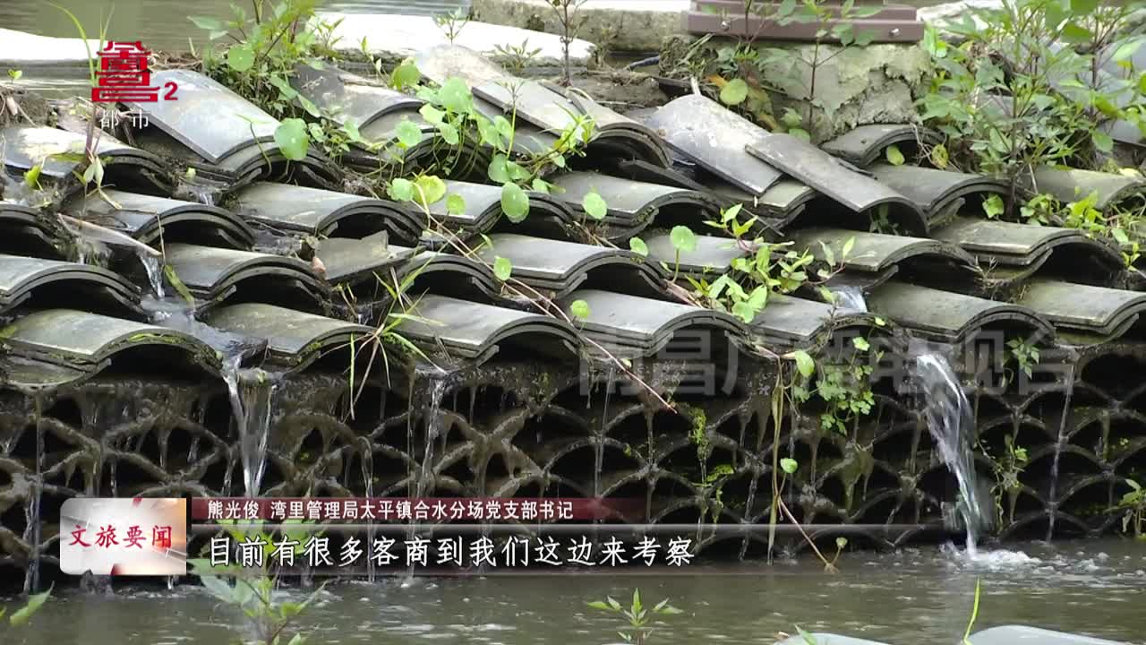 南昌湾里：民宿集群赋能全域旅游