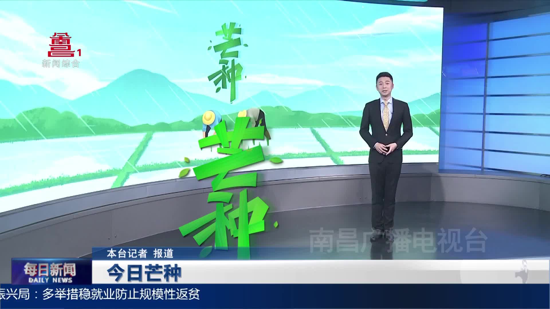 今日芒种