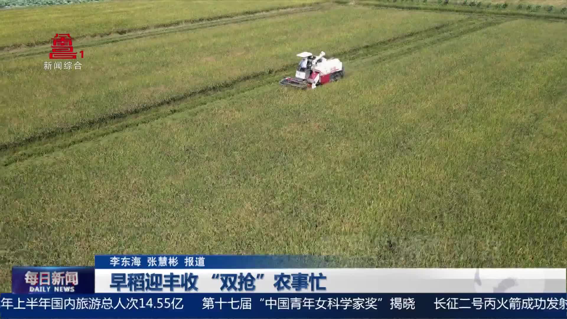 早稻迎丰收 “双抢”农事忙