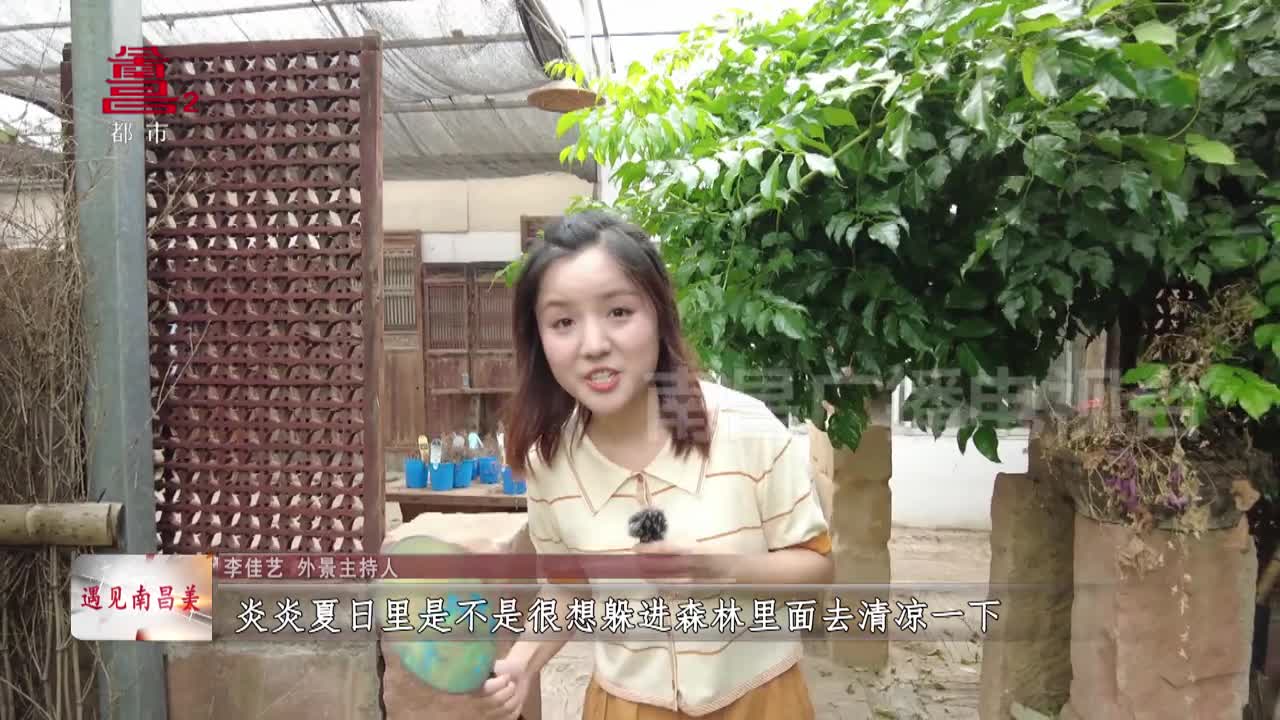 遇见南昌美：大隐于市的“小森林”