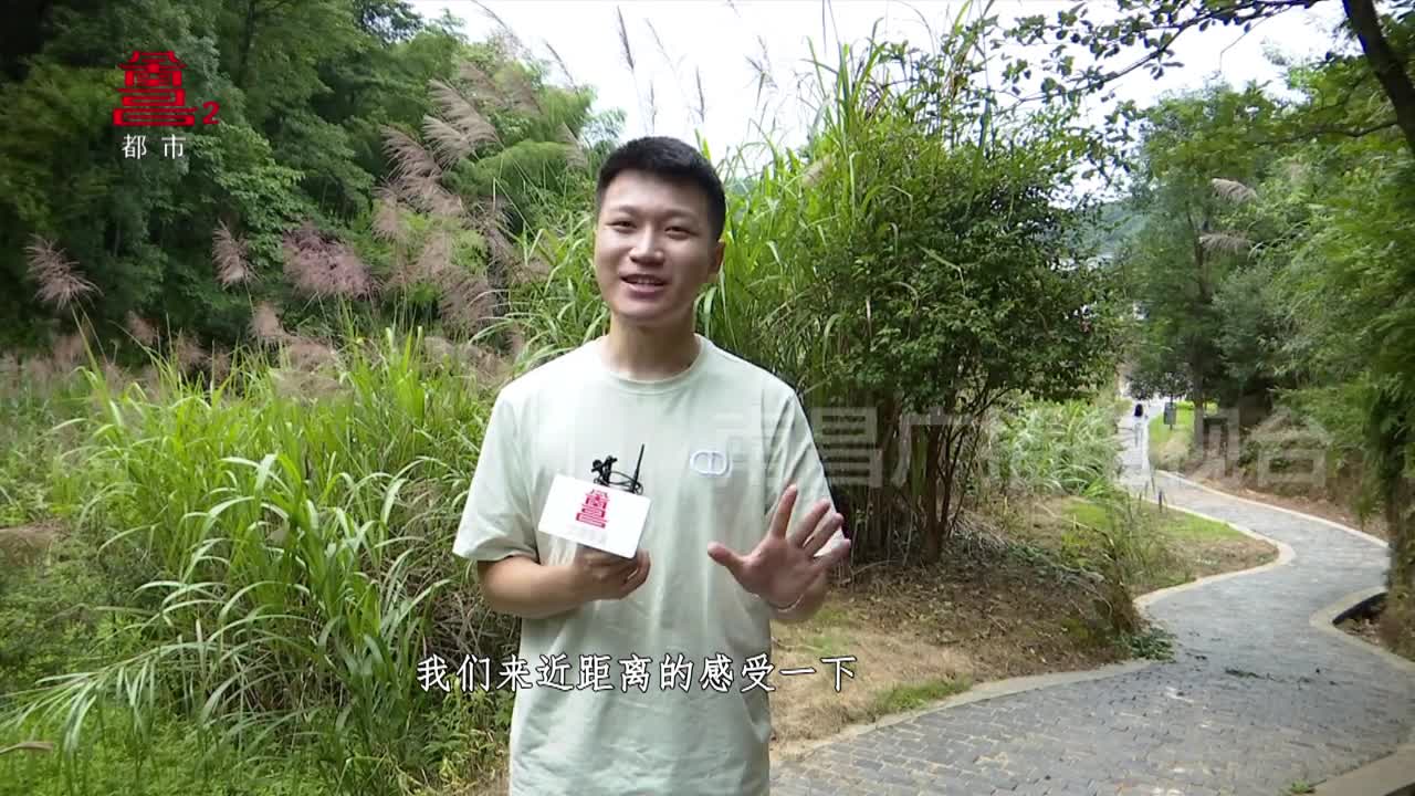 赏山川之美 享本真味道