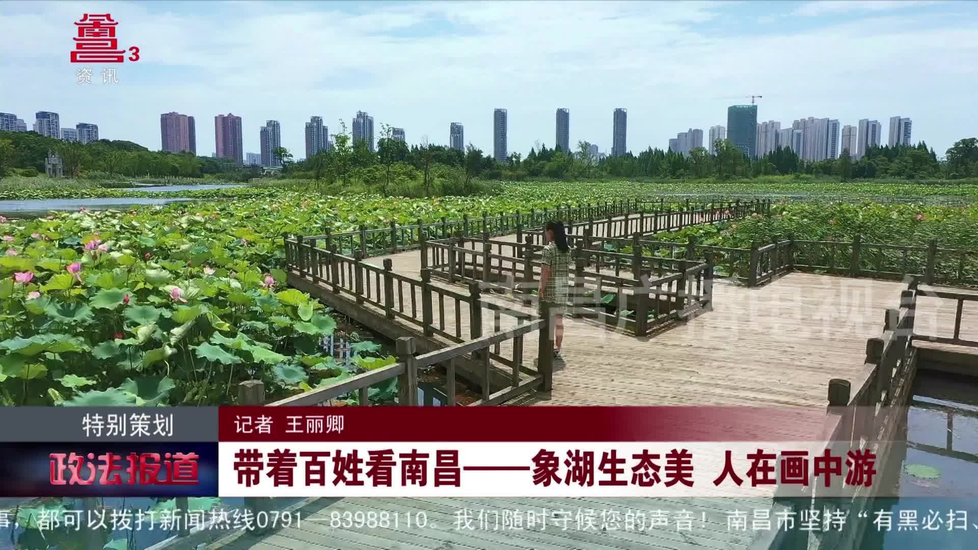 带着百姓看南昌——象湖生态美 人在画中游