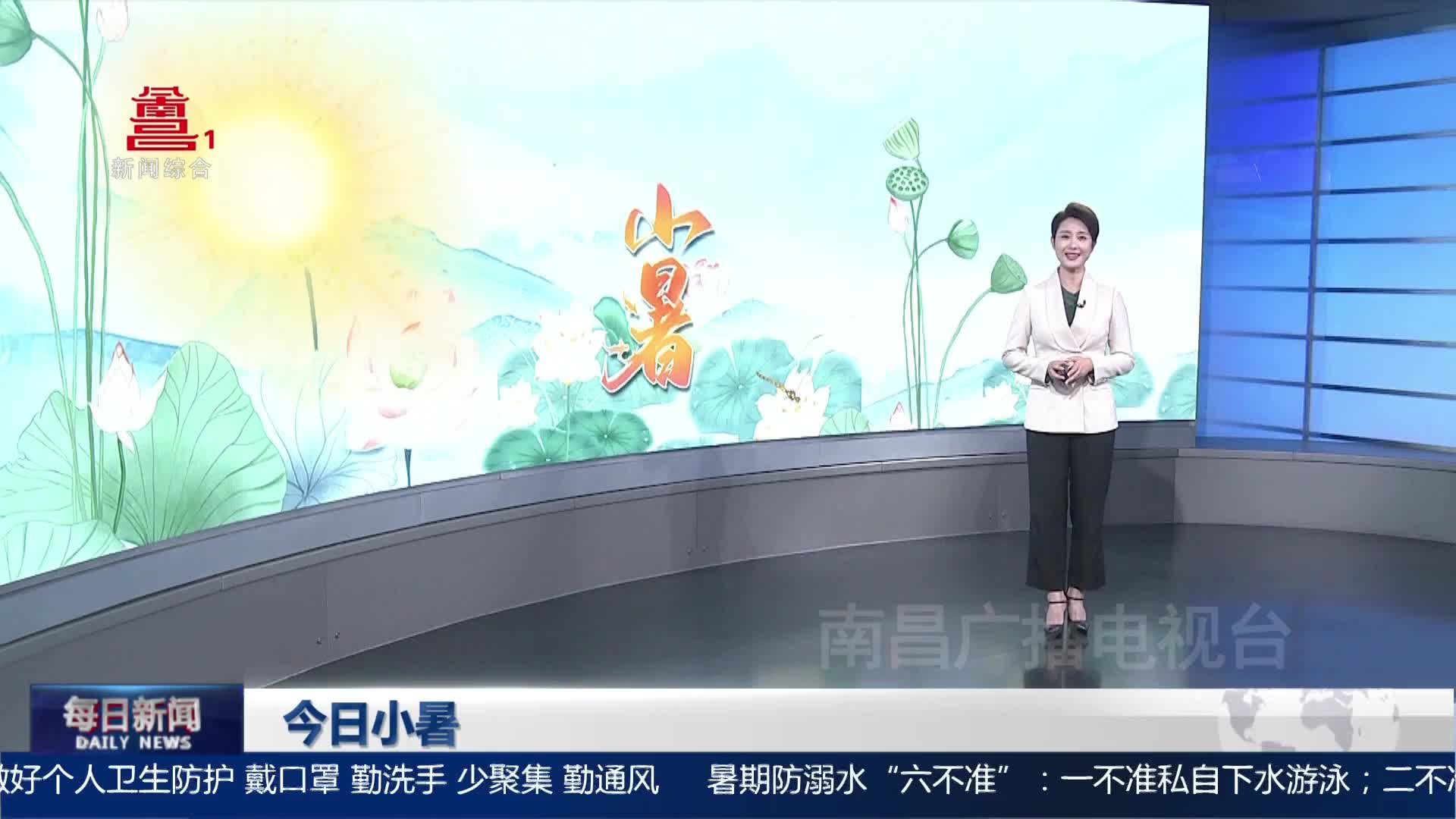 今日小暑