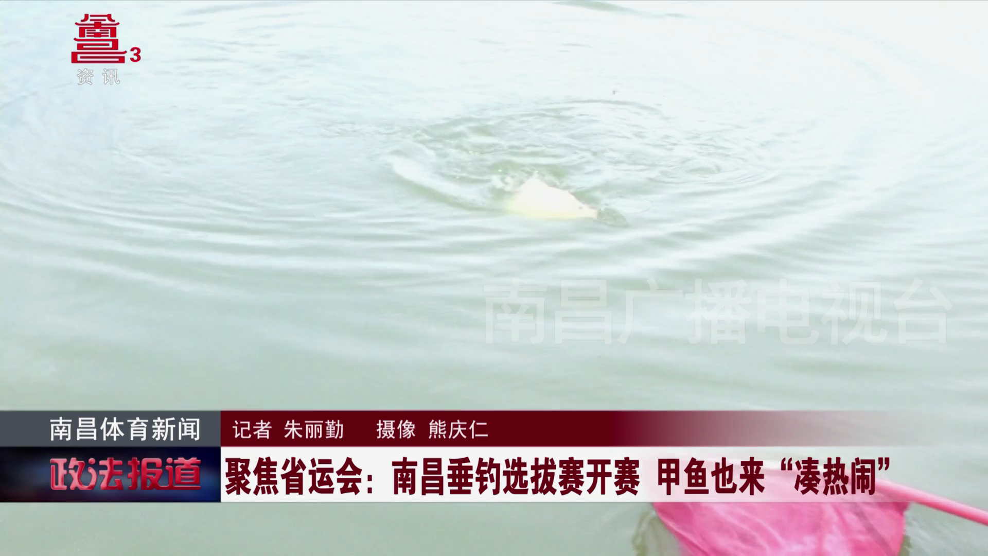 聚焦省运会：南昌垂钓选拔赛开赛 甲鱼也来“凑热闹”