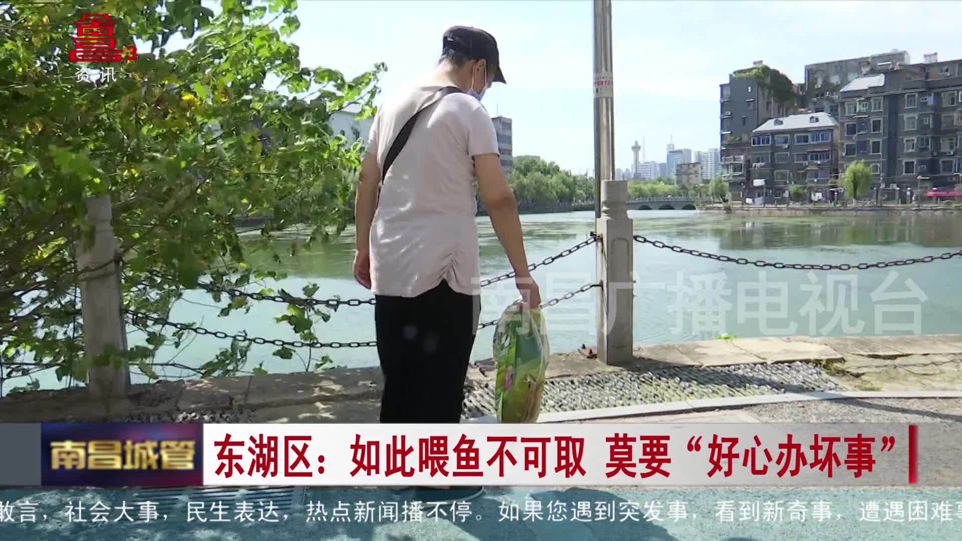 东湖区：如此喂鱼不可取 莫要“好心办坏事”