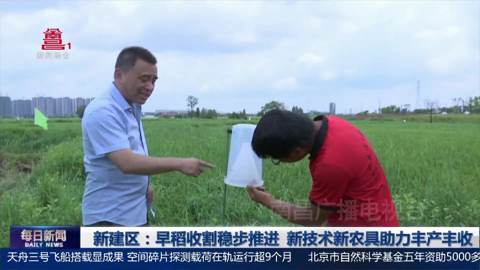 新建区：早稻收割稳步推进  新技术新农具助力丰产丰收