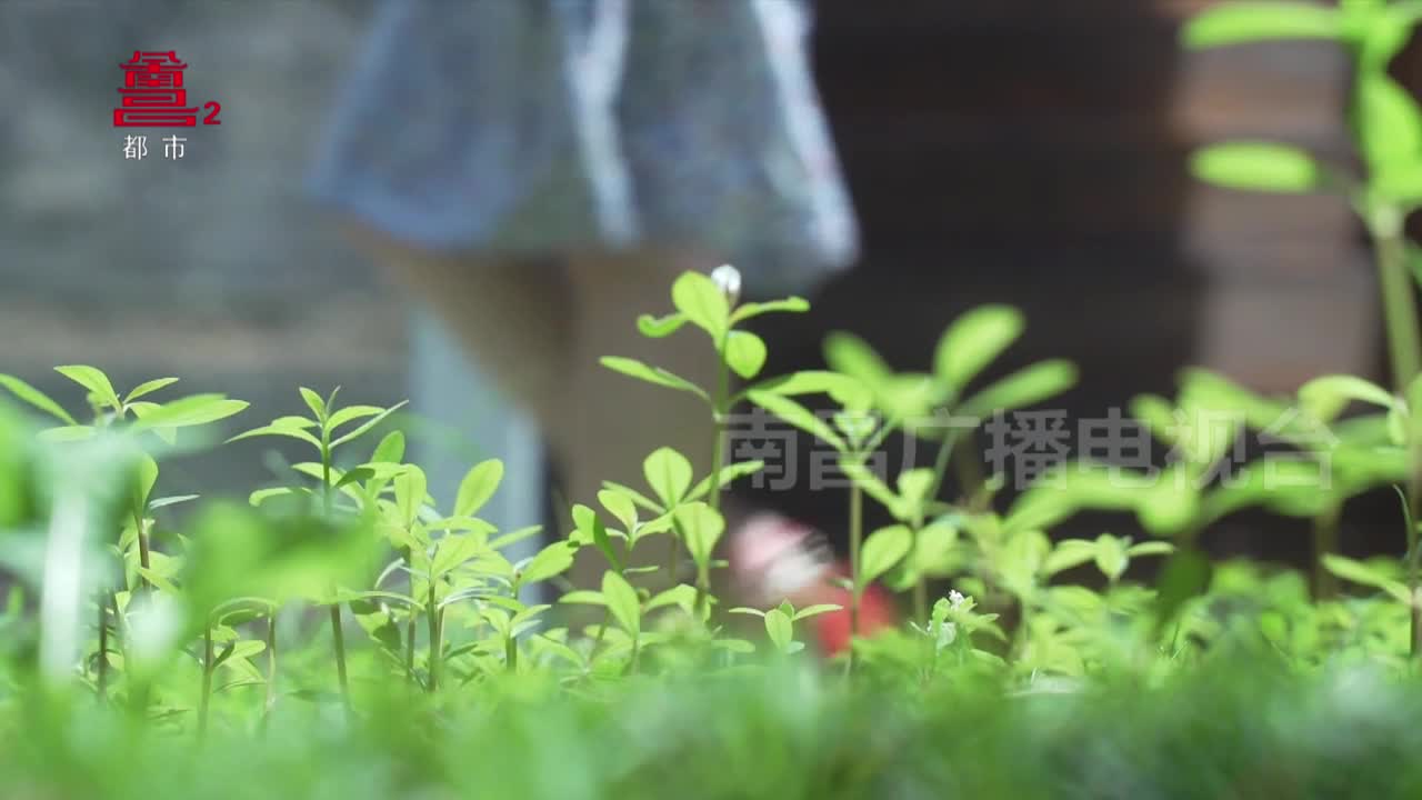 南昌十佳民宿：于景深处 寻一处安宁