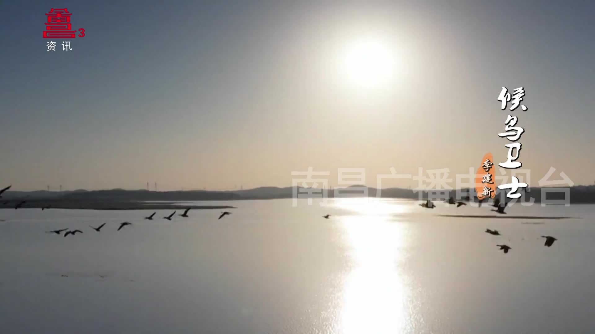 候鸟卫士——李建新