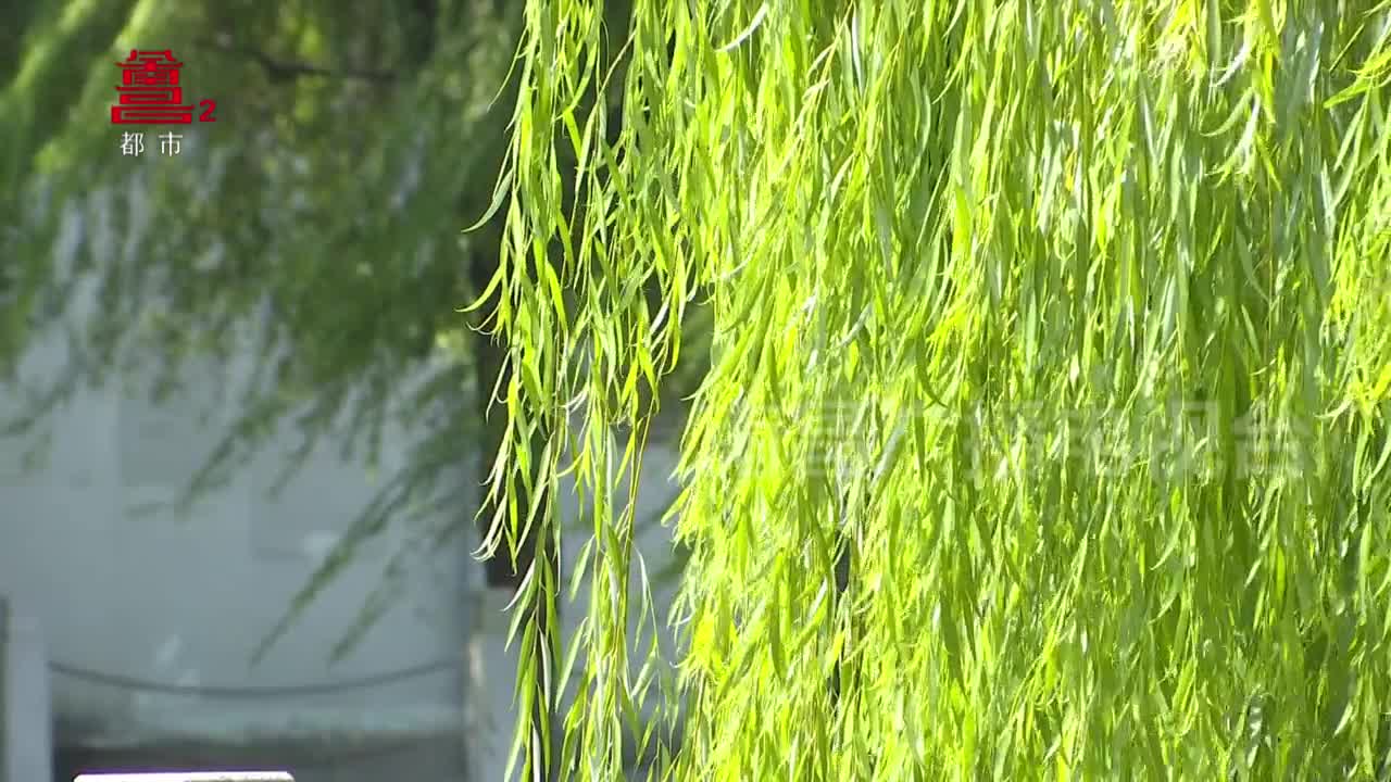 豫章十景之徐亭烟柳