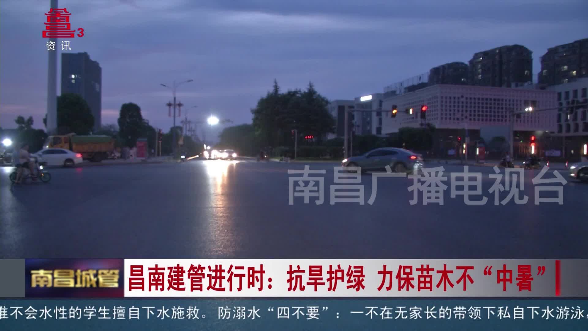 昌南建管进行时：抗旱护绿  力保苗木不“中暑”