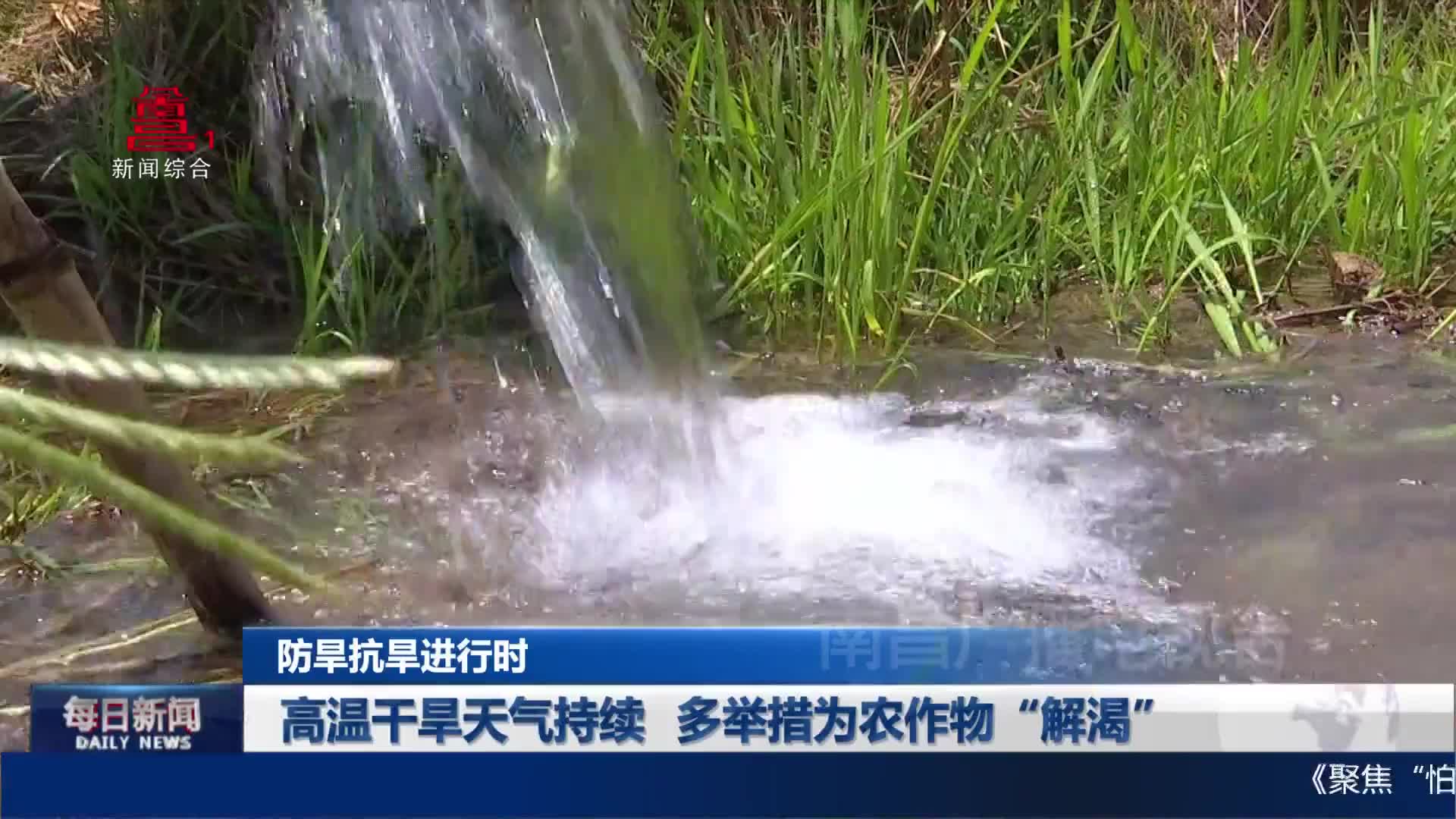 高温干旱天气持续 多举措为农作物“解渴”