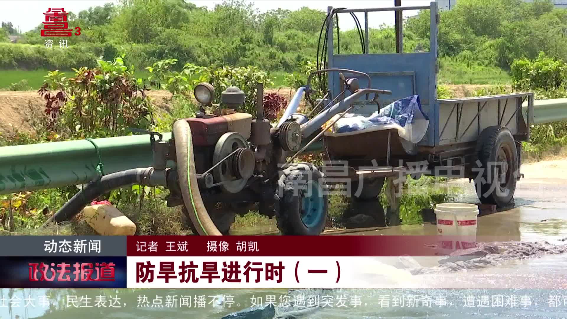 打井挖渠为稻田“解渴”