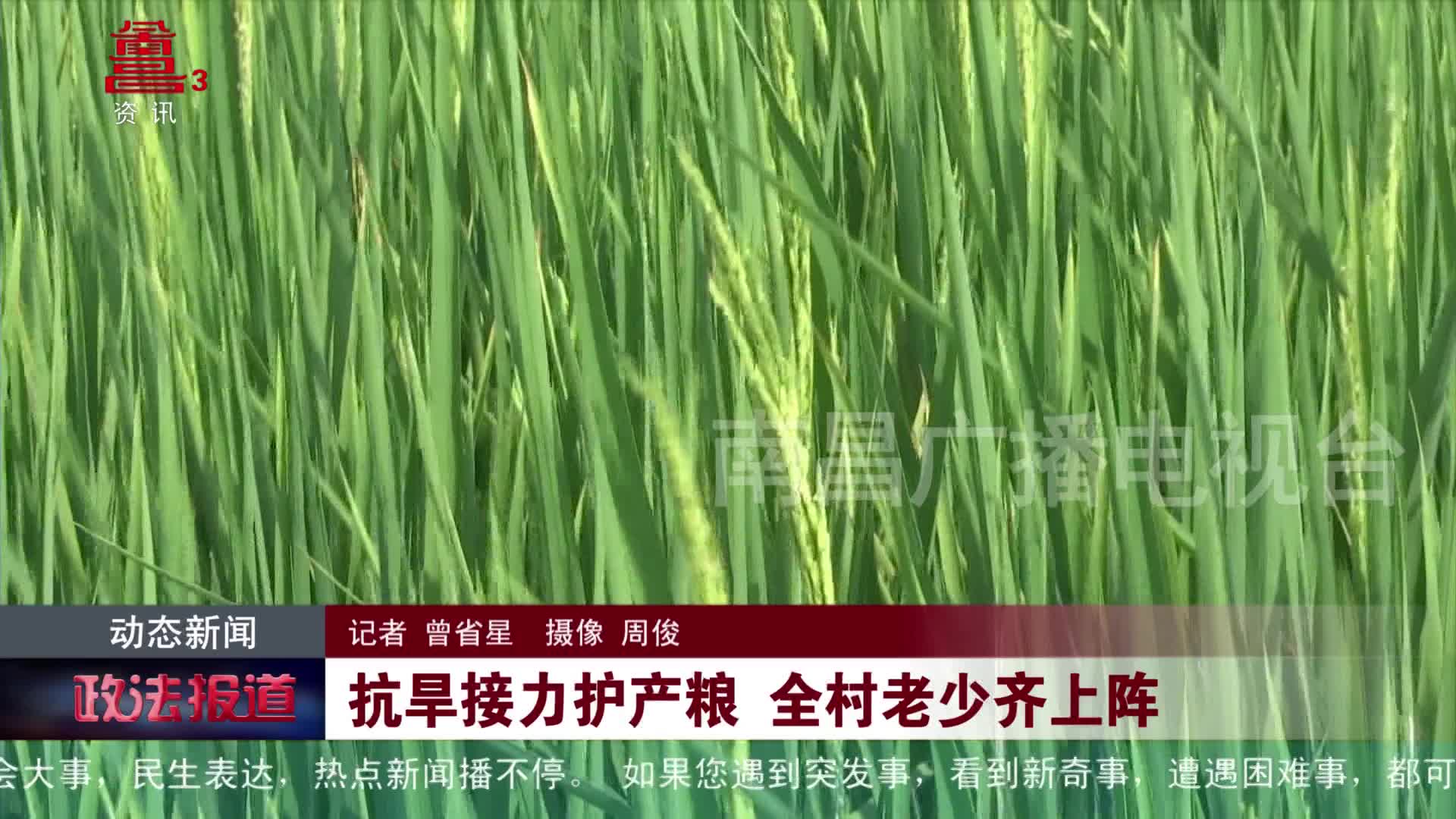 抗旱接力护产粮 全村老少齐上阵