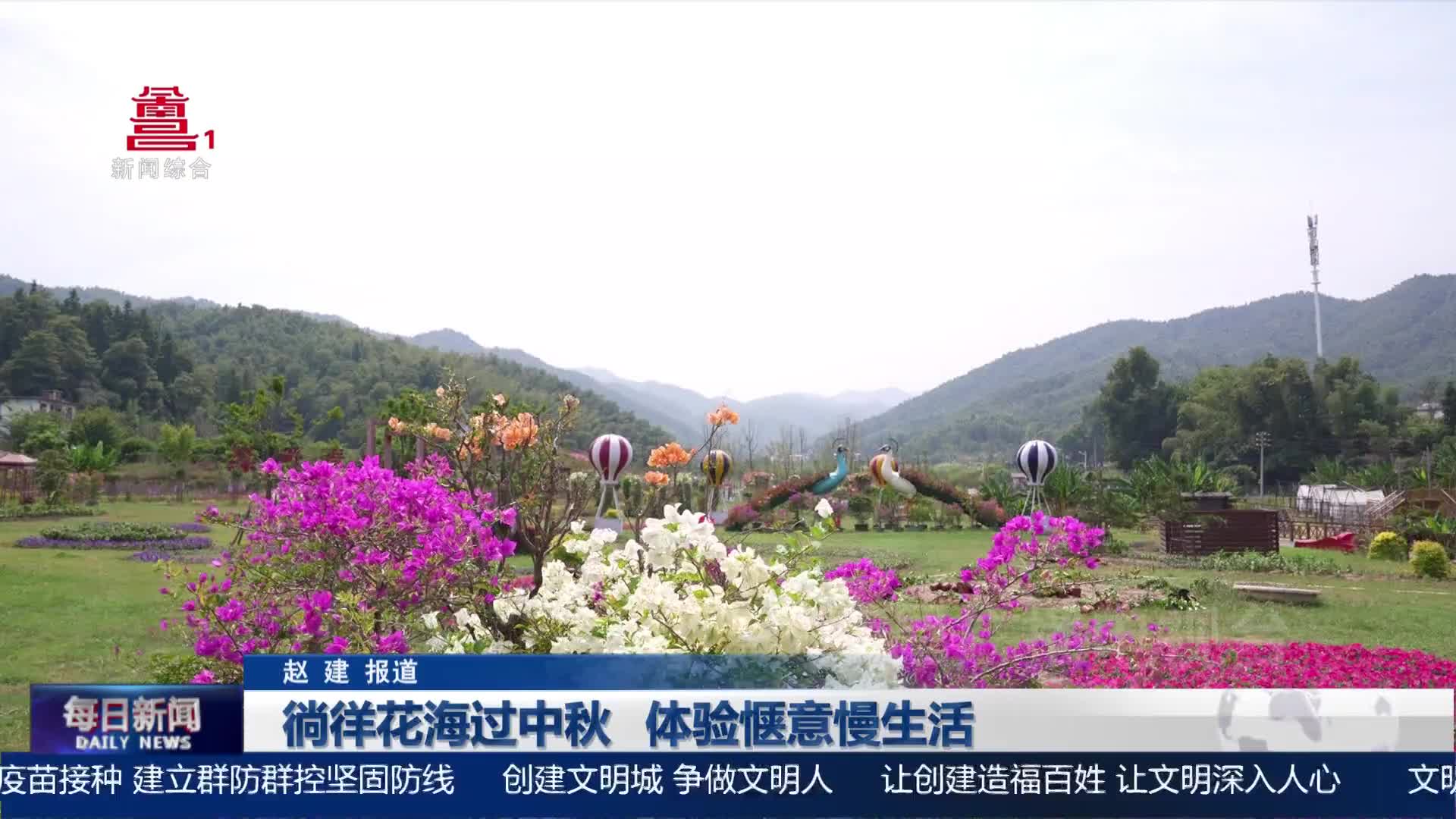徜徉花海过中秋 体验惬意慢生活