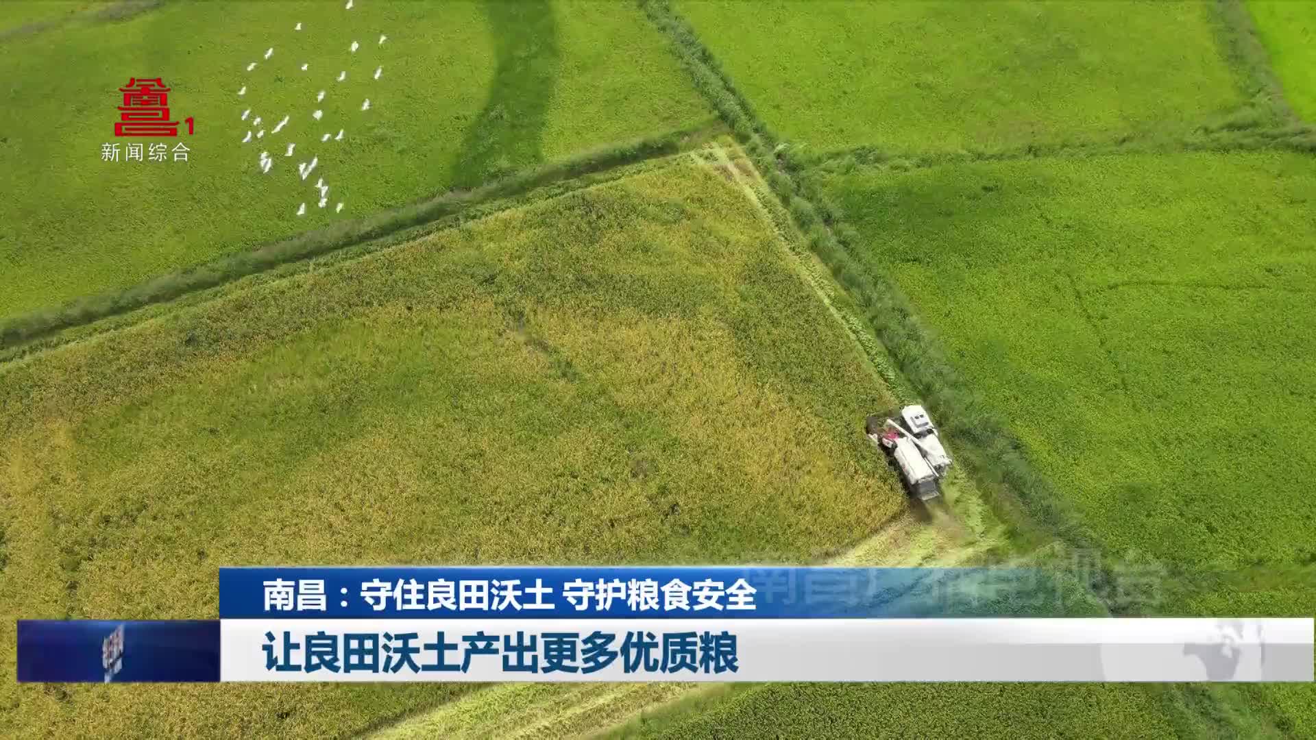 南昌：守住良田沃土 守护粮食安全