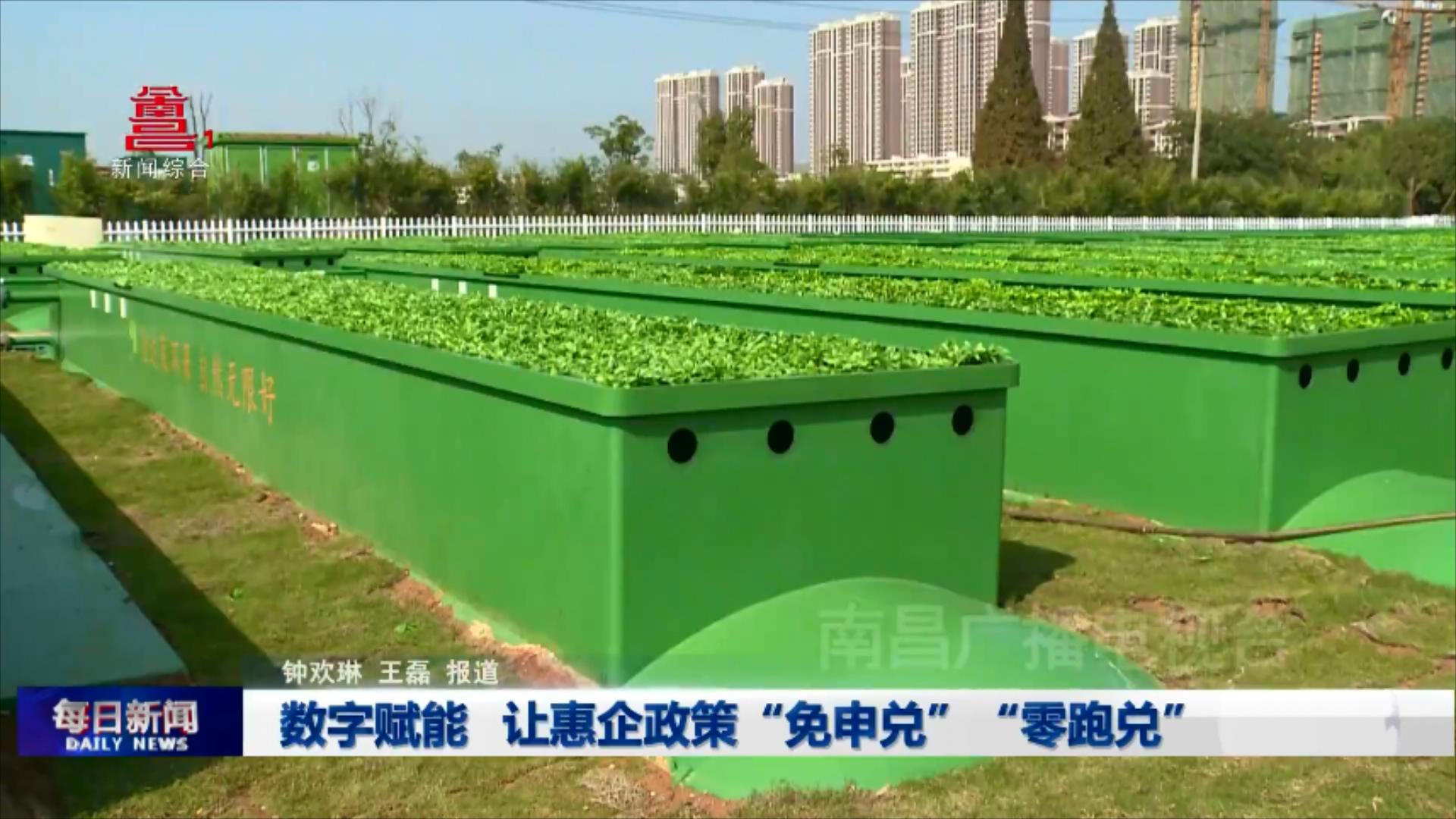 数字赋能  让惠企政策“免申兑”“零跑兑”