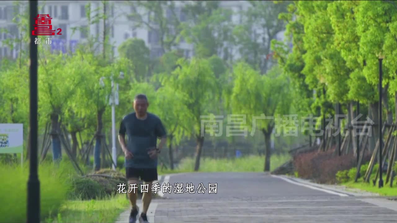 九龙湖湿地公园  赏景读书两相宜